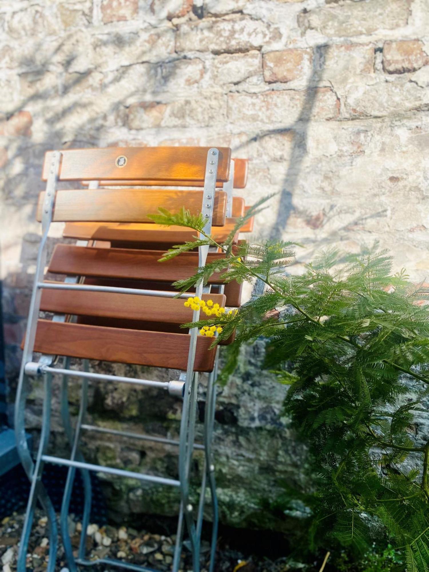 Zehuus Gartenstudio Mit Terrasse Keulen Buitenkant foto